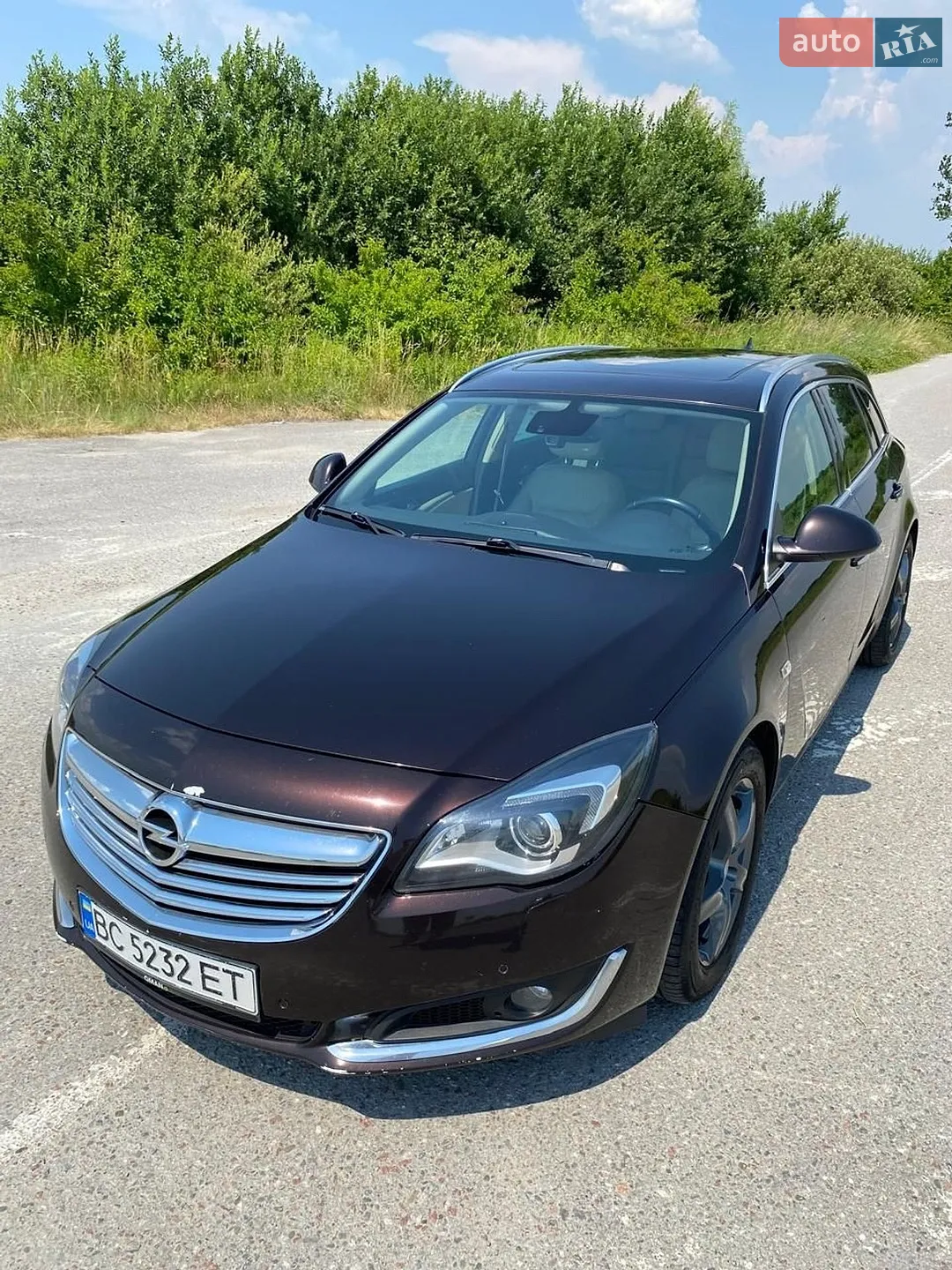 2013 Opel Insignia - фото 1