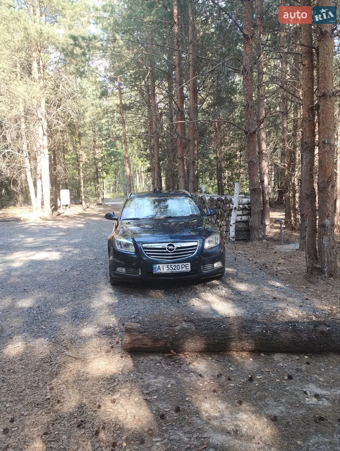 2010 Opel Insignia - мініатюра 12