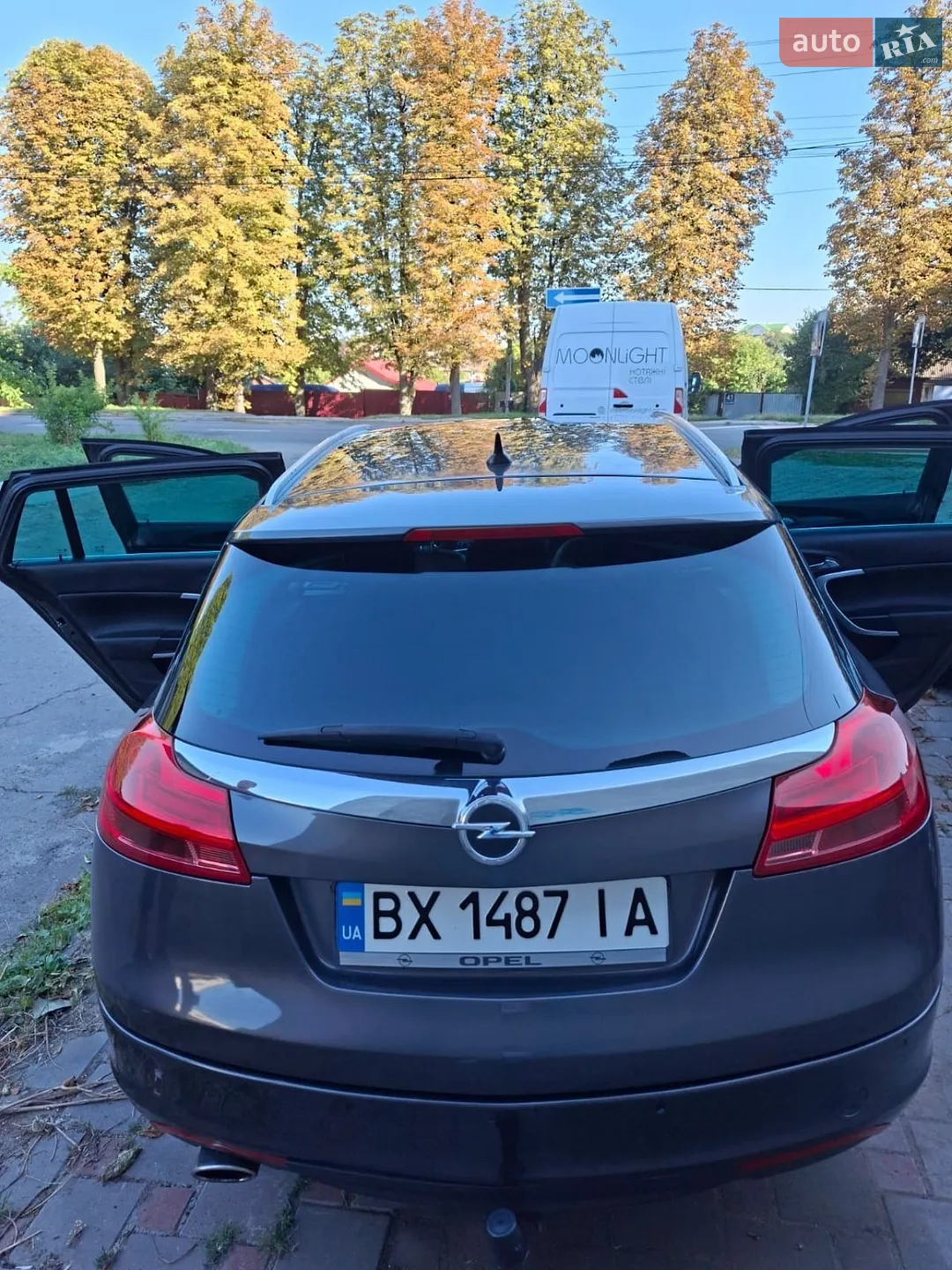 2010 Opel Insignia - мініатюра 12