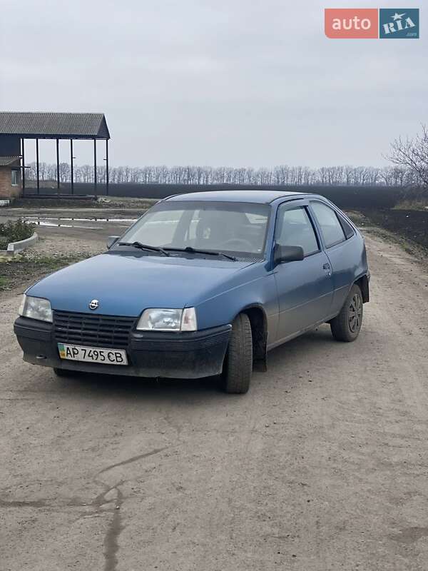 Универсал Opel Kadett 1987 в Запорожье