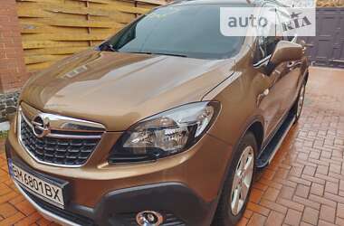 Колёса / шины для OPEL MOKKA 1.4 LPG 103kw 140hp A 14 NET 2013/2020 Бензин-газ (LPG) SUV