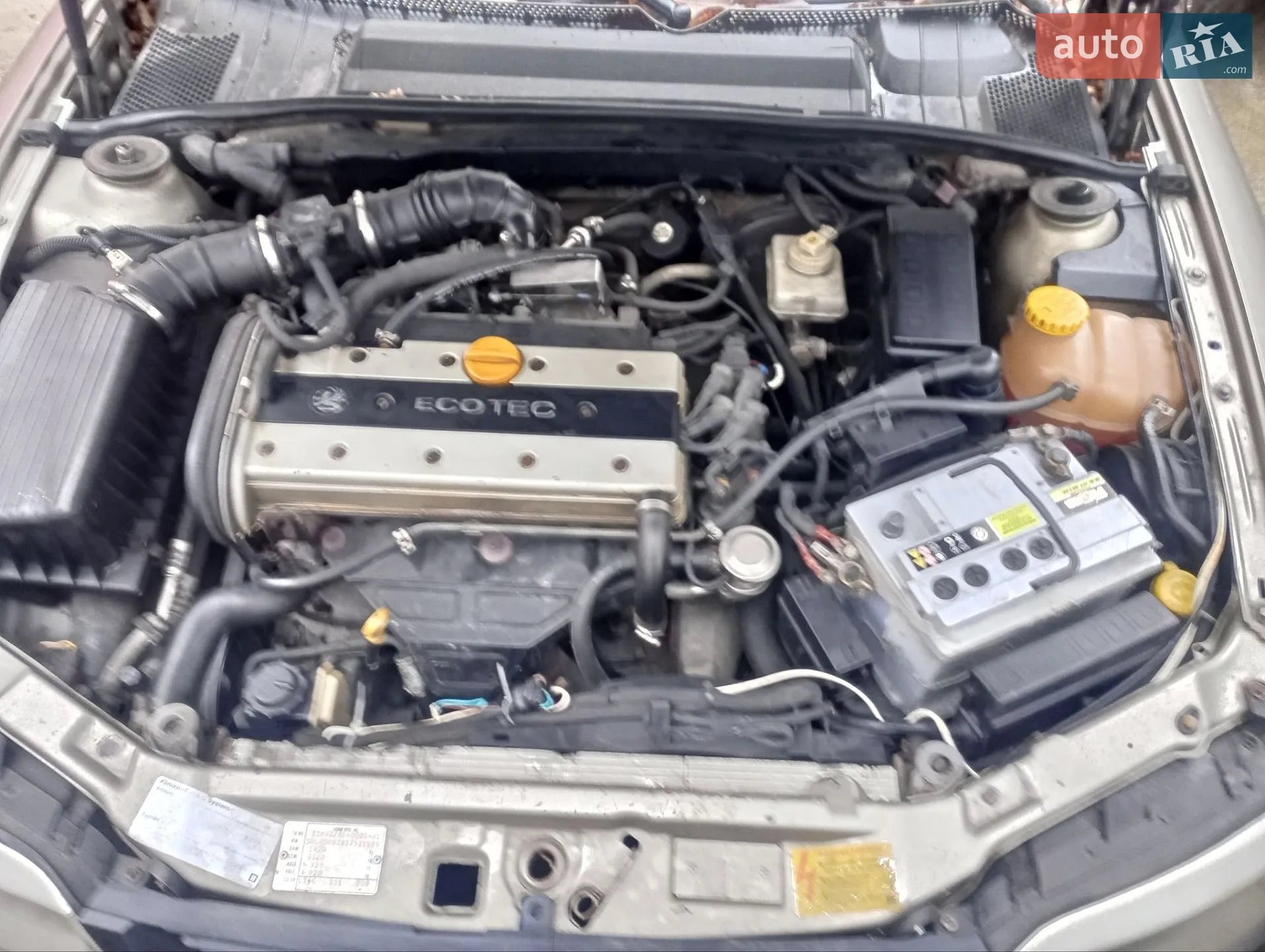 Opel Vectra 1996 VIN W0L000038T7521175 фото оголошення 4 з 12