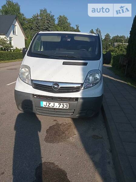 Минивэн Opel Vivaro 2008 в Днепре