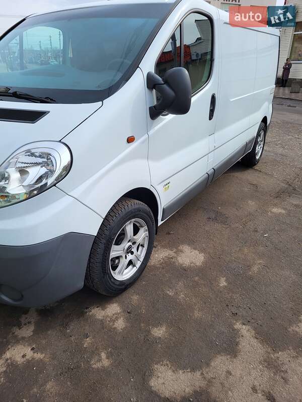 Грузопассажирский фургон Opel Vivaro 2014 в Ананьеве фото 19 Грузопассажирский фургон Opel Vivaro 2014 в Ананьеве