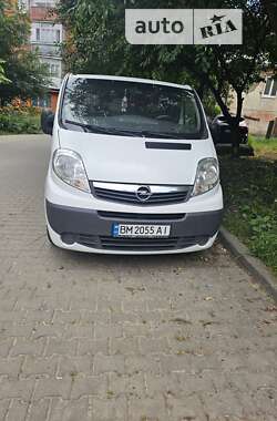 Мінівен Opel Vivaro 2014 в Чернівцях