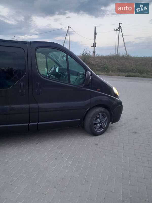 Минивэн Opel Vivaro 2007 в Городенке