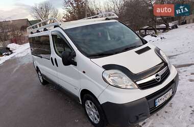 Минивэн Opel Vivaro 2013 в Житомире