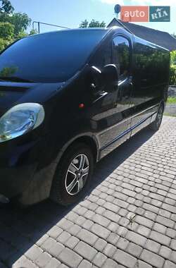 Минивэн Opel Vivaro 2011 в Виньковцах
