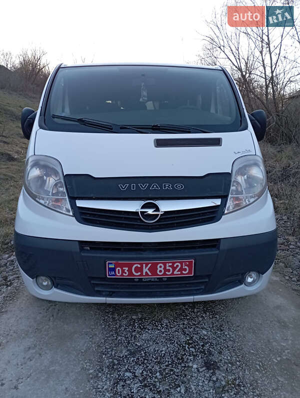 Минивэн Opel Vivaro 2009 в Дунаевцах