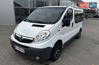 Минивэн Opel Vivaro 2008 в Полтаве