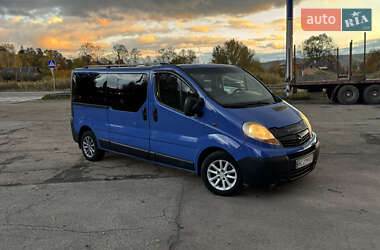Минивэн Opel Vivaro 2010 в Долине