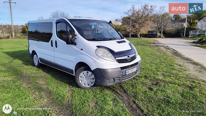 Минивэн Opel Vivaro 2008 в Вознесенске фото 3 Минивэн Opel Vivaro 2008 в Вознесенске