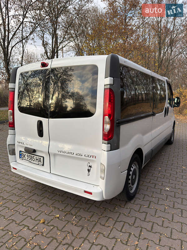 Минивэн Opel Vivaro 2009 в Миргороде