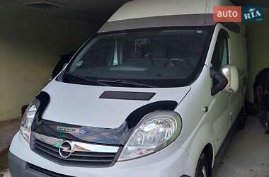 Минивэн Opel Vivaro 2012 в Захарьевке