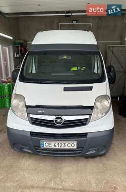 Грузовой фургон Opel Vivaro 2008 в Шишковцах