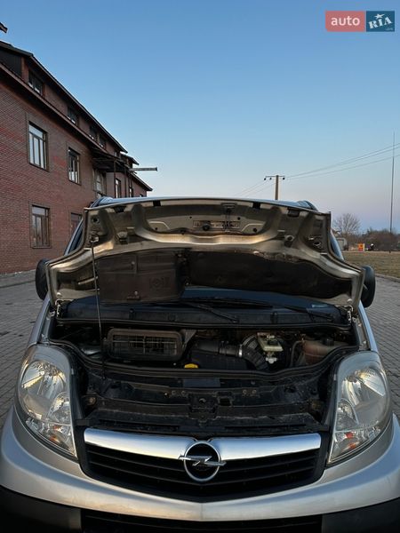 Минивэн Opel Vivaro 2007 в Теофиполе