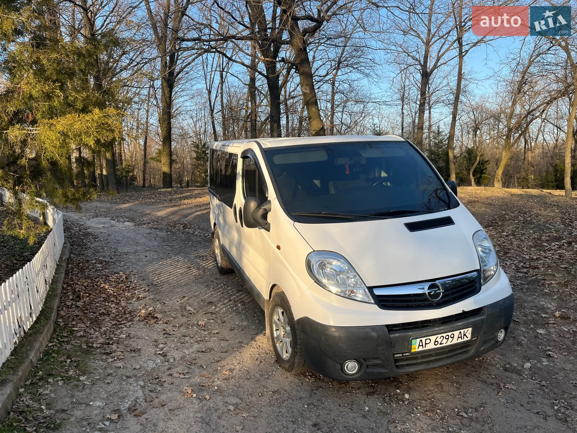 2010 Opel Vivaro - мініатюра 11