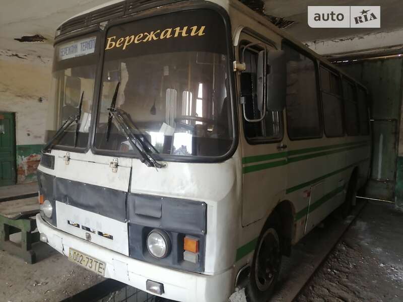 Пригородный автобус ПАЗ 3205 2004 в Бережанах