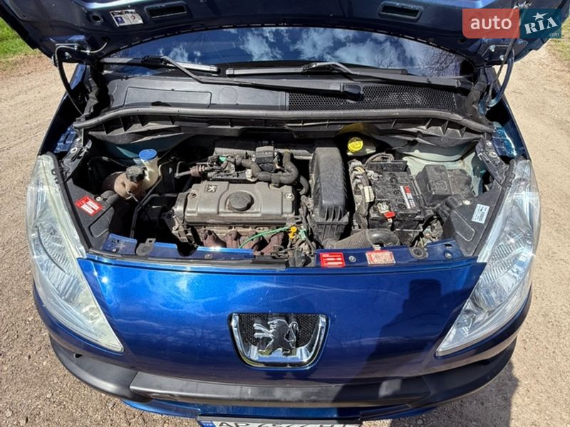 Мікровен Peugeot 1007 2006 в Кропивницькому