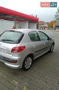 Хэтчбек Peugeot 206 plus 2009 в 