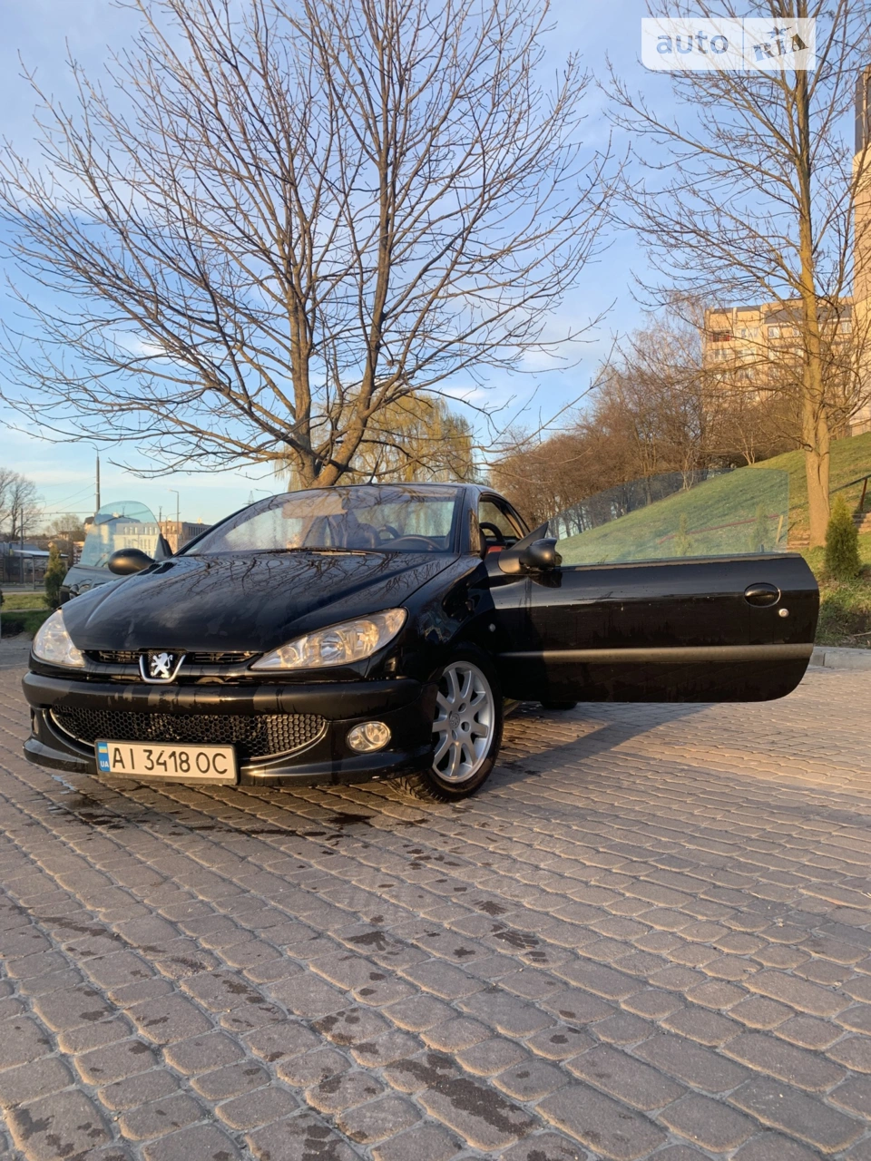 2002 Peugeot 206 - мініатюра 8