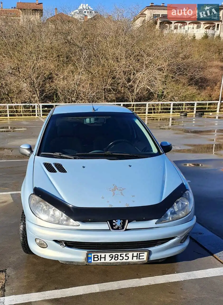 2003 Peugeot 206 - мініатюра 10