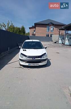 Хетчбек Peugeot 206 2007 в 