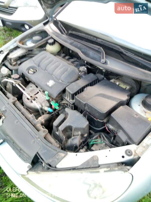 Універсал Peugeot 206 2004 в Стрию