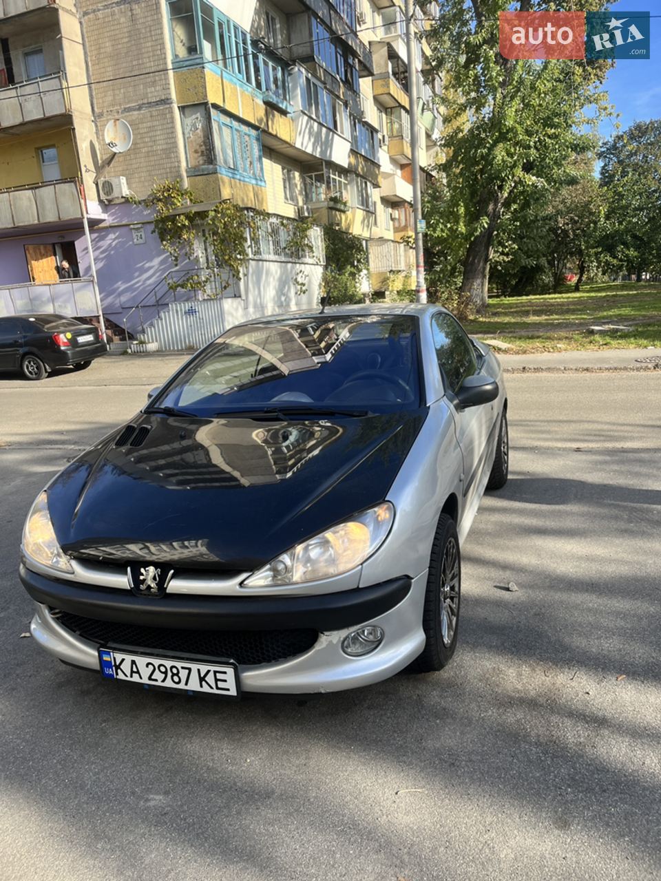 2002 Peugeot 206 - мініатюра 11