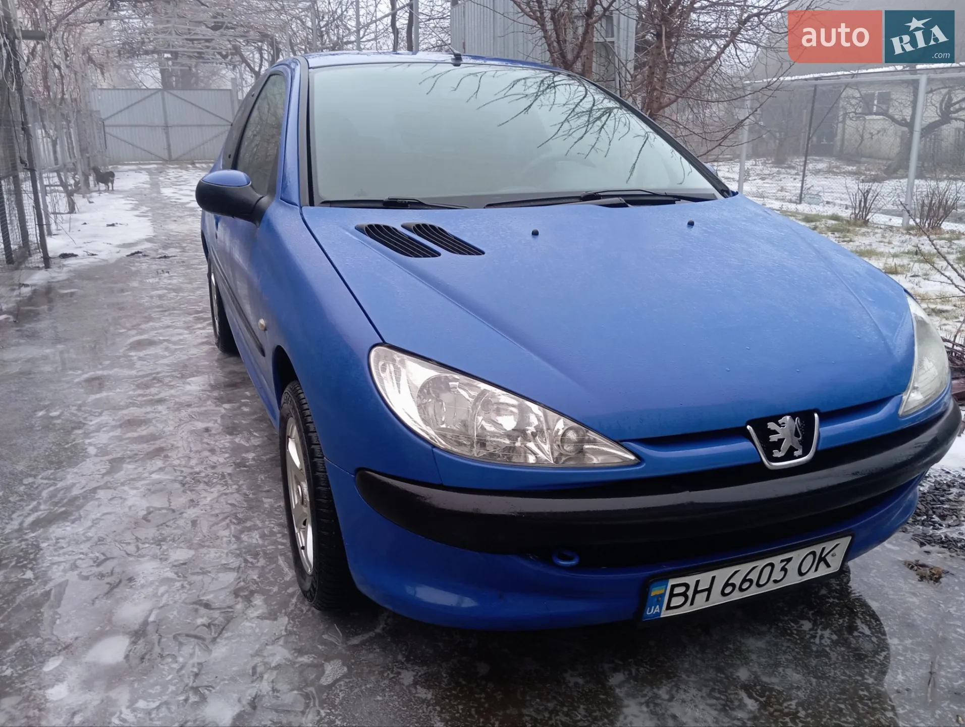 2005 Peugeot 206 - мініатюра 19