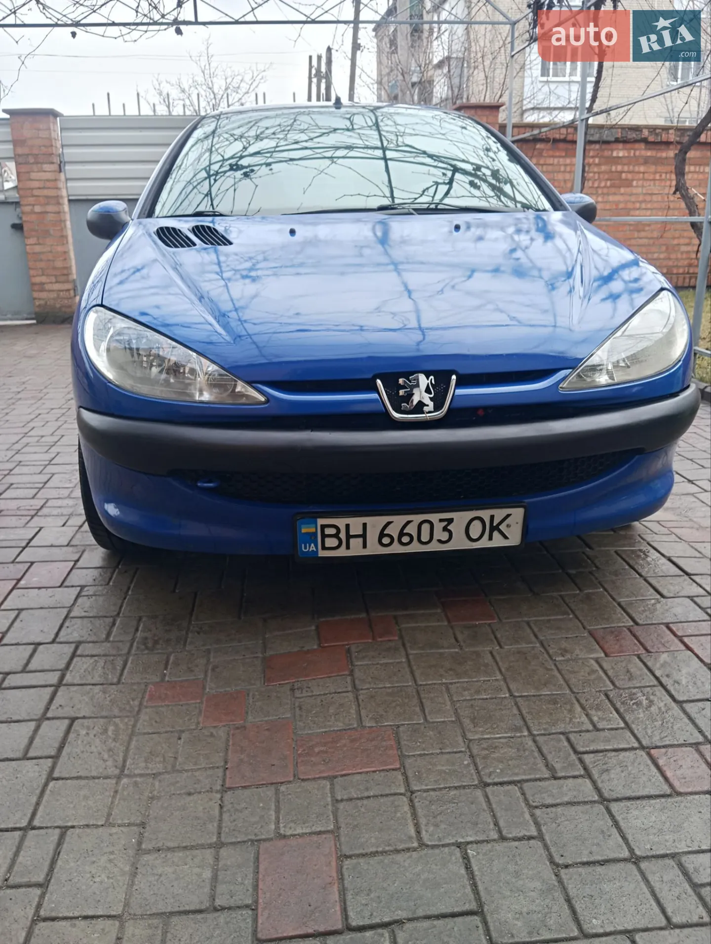 2005 Peugeot 206 - мініатюра 4