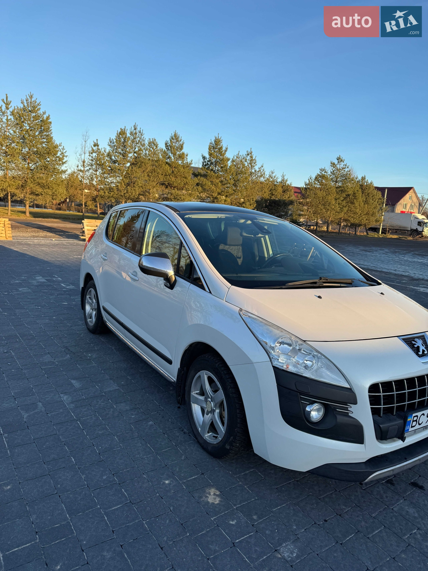 2010 Peugeot 3008 - фото 1