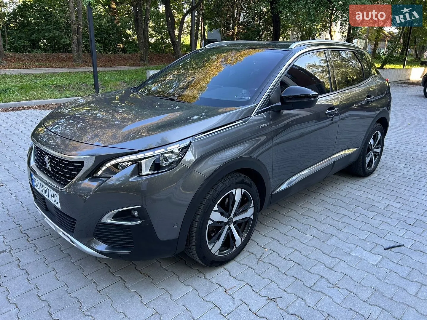 2019 Peugeot 3008 - мініатюра 2
