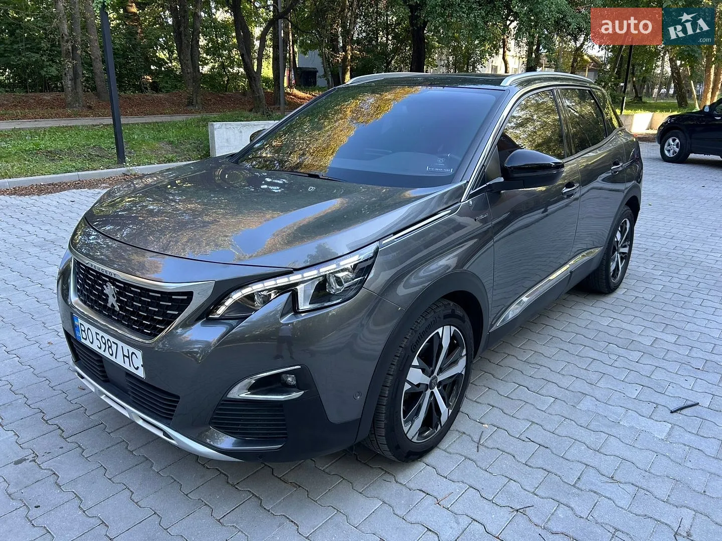 2019 Peugeot 3008 - мініатюра 6