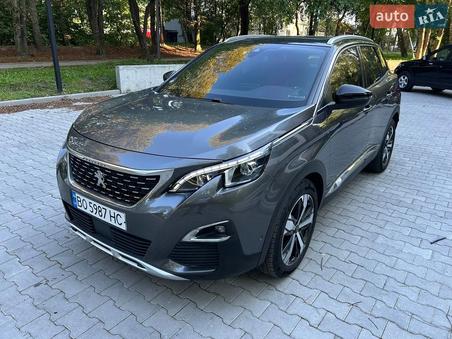 2019 Peugeot 3008 - мініатюра 7