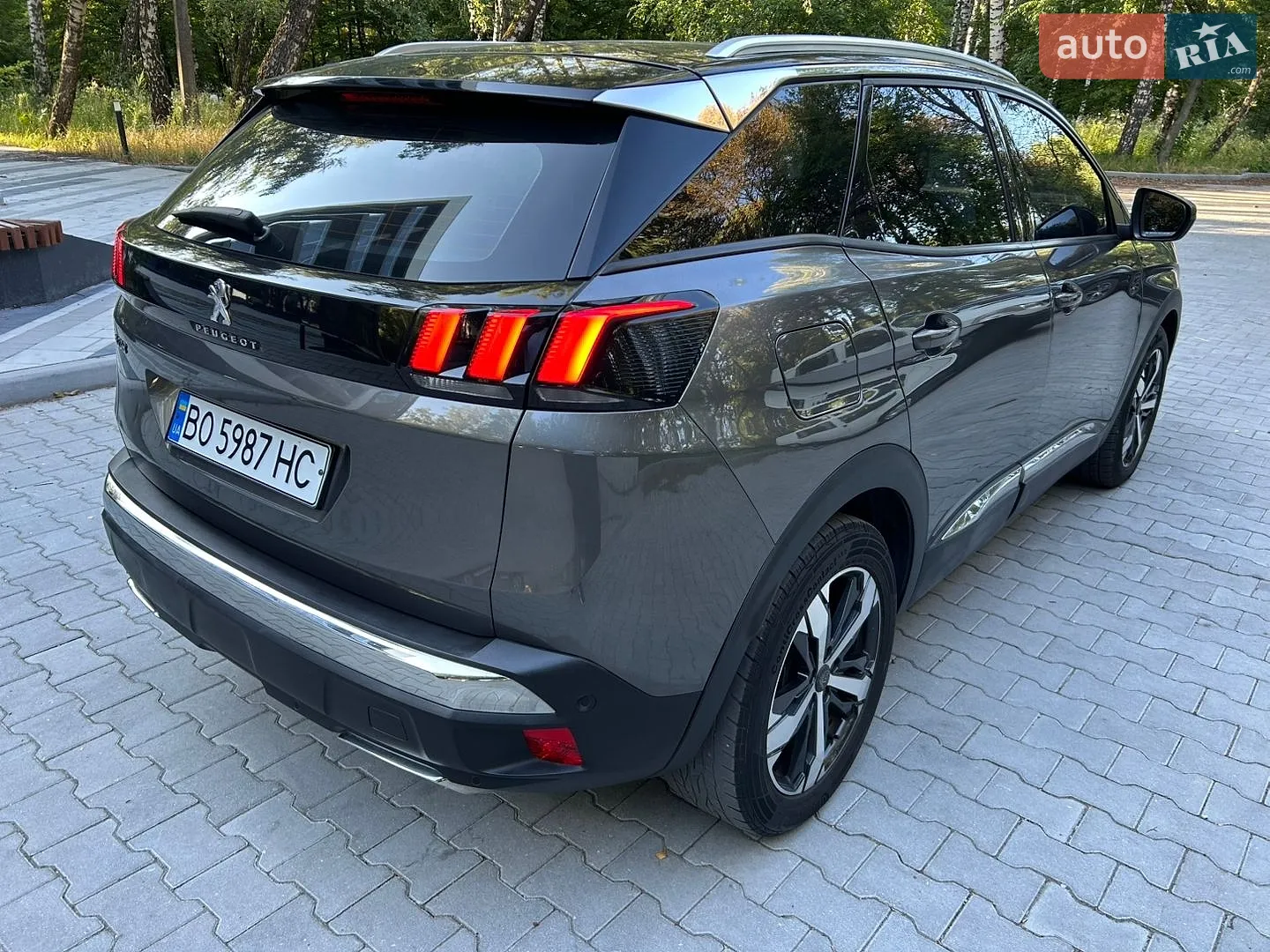 2019 Peugeot 3008 - мініатюра 13