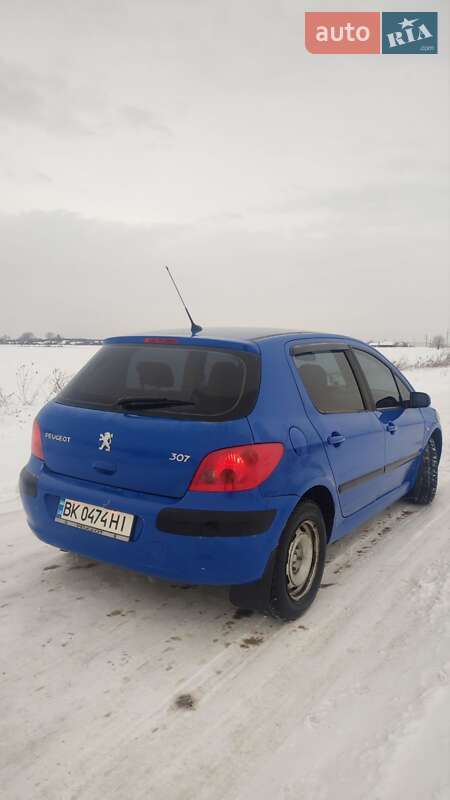 Хэтчбек Peugeot 307 2003 в Луцке