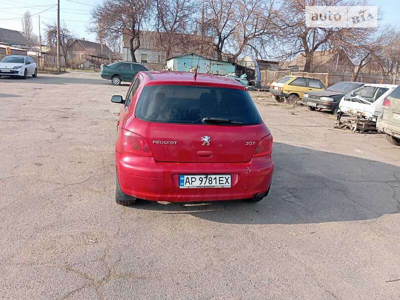 Хэтчбек Peugeot 307 2004 в Запорожье