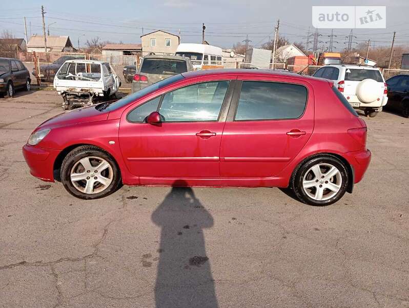 Хэтчбек Peugeot 307 2004 в Запорожье