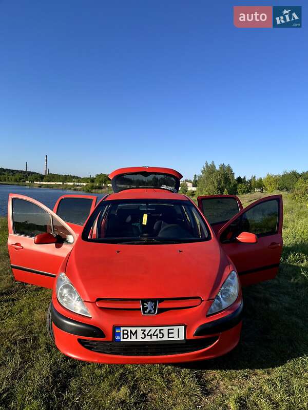Хэтчбек Peugeot 307 2002 в Шостке