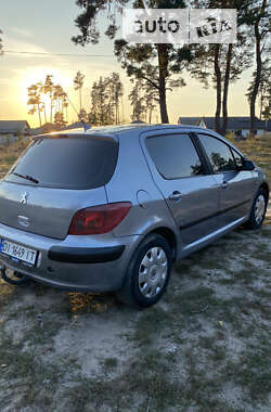 Хетчбек Peugeot 307 2002 в Василькові