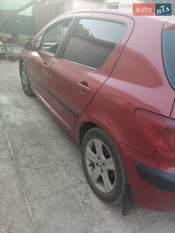 Peugeot 307 2004 Peugeot 307 2004