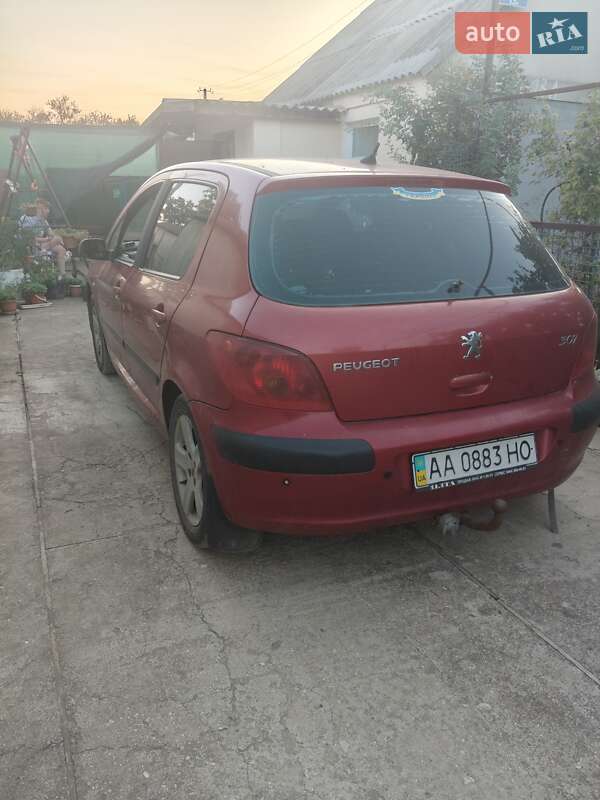 Хетчбек Peugeot 307 2004 в Києві