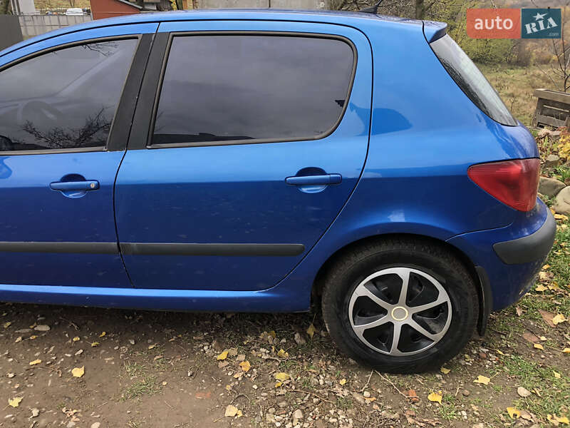 Хетчбек Peugeot 307 2004 в Сторожинці