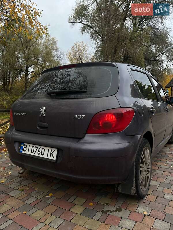Хетчбек Peugeot 307 2002 в Миргороді