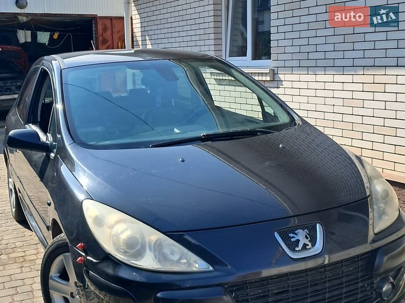 Хетчбек Peugeot 307 2006 в Житомирі