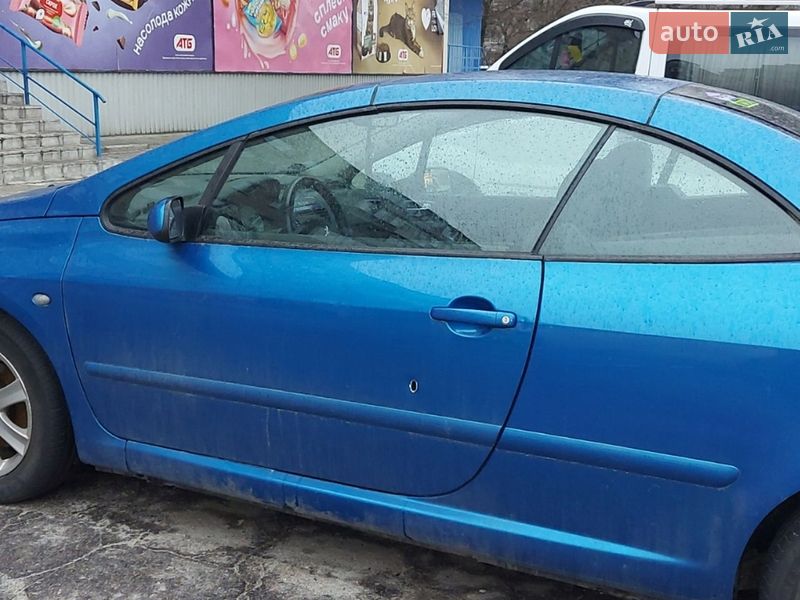 Кабріолет Peugeot 307 2004 в Запоріжжі