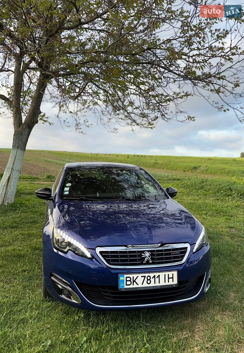 2016 Peugeot 308 - мініатюра 5