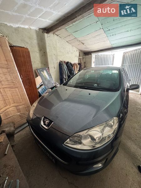 Peugeot 407 2005 Peugeot 407 2005