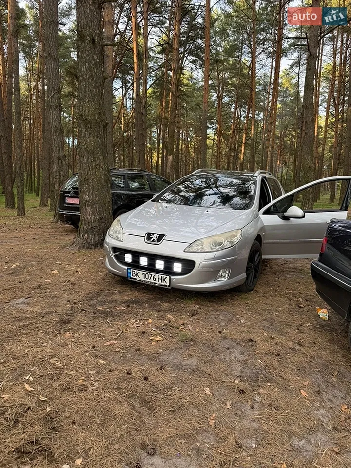 2010 Peugeot 407 - мініатюра 20